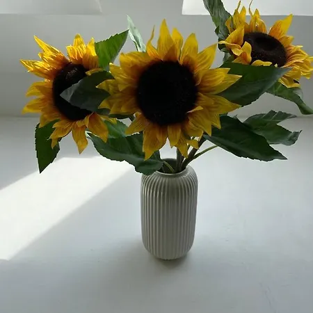 Konvoj Szallo Hostel Budapesta