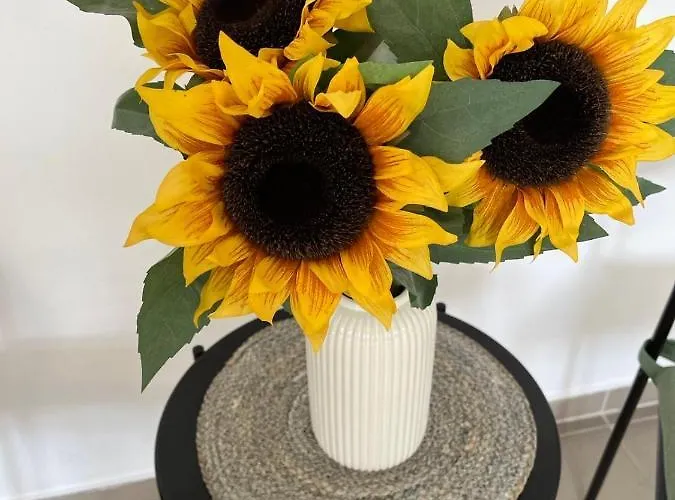 Konvoj Szallo Hostel