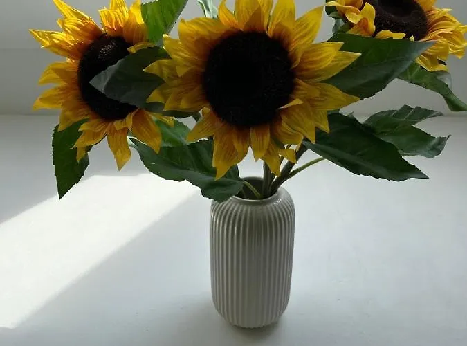 Konvoj Szallo Hostel Budapesta